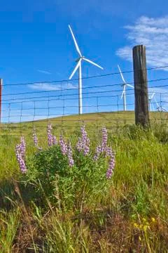 Wind power eastern washington. Stock Photos
