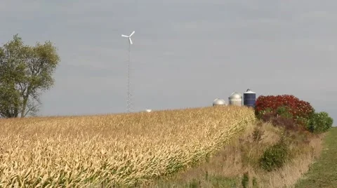Wind power on a farm Stock Footage 43225779