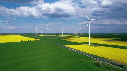 Wind power generators against the backdrop of flowering canola fields Stock Footage 241100358