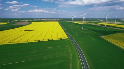 Wind power generators against the backdrop of flowering canola fields Stock Footage 241647415