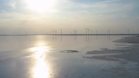 Wind power generators in the field on the coastline Stock Footage 255624116