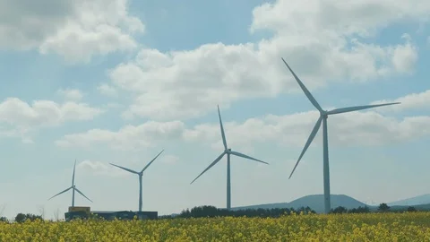 Wind power generators lined up in a blue sky and yellow flower fields. Stock Footage 127145226