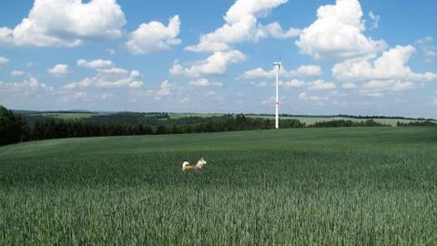 Wind power Stock Photos