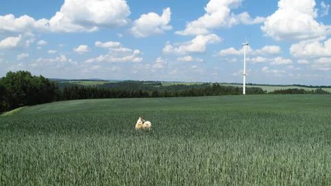 Wind power Stock Photos