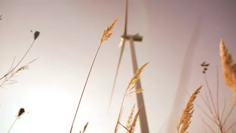 Wind power plant on the background out of focus Stock Footage 142495271