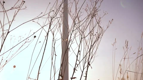 Wind power plant in defocus 스톡 동영상 142495217