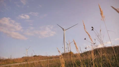 Wind power plant Video stock 142495149