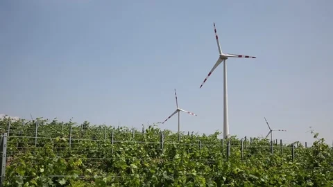 Wind power plant 스톡 동영상 142972978