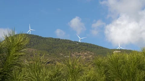 Wind Power Plants Amidst Pine Forests Stock Footage 330390604