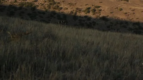 Wind power plants Stock-Footage 55817737