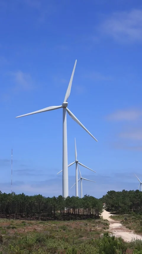 Wind power plants row under a blue sky Stock Footage 297082600