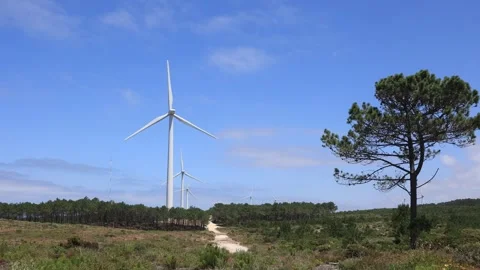 Wind power plants spin under the blue sky Stock Footage 278226348
