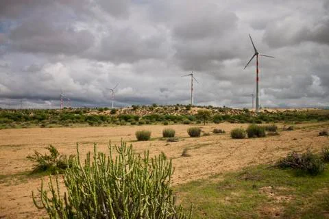 Wind power plants at Thar desert in Rajasthan, India Foto stock