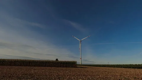 Wind power station between the corn fields for clean energy Stock Footage 162124399