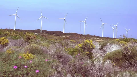 Wind power stations 動画素材 297175226