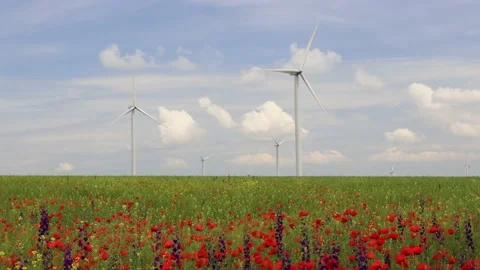 Wind power turbines. Stock Footage 156505583