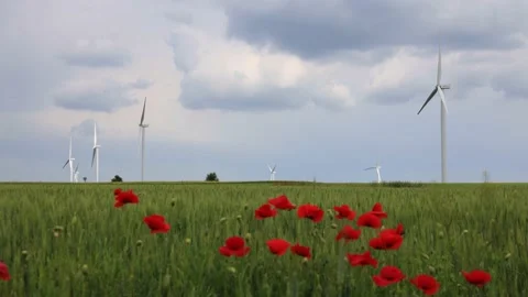 Wind power turbines. Stock Footage 156506131