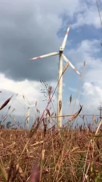 Wind power turbines generating clean renewable energy Ilustração Stock