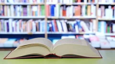 Wind reading book Vidéo 301700004