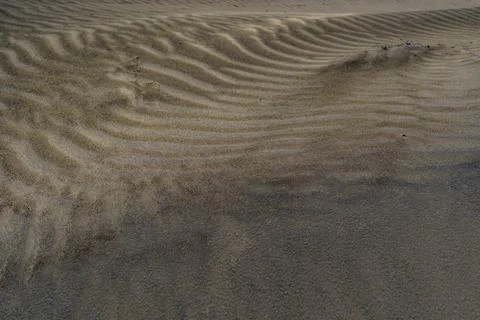 Wind Rippled Sand Surface With Soft Shadows and Texture Stock Photos