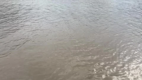 Wind ripples across calm brown river water surface Stock Footage 314098573