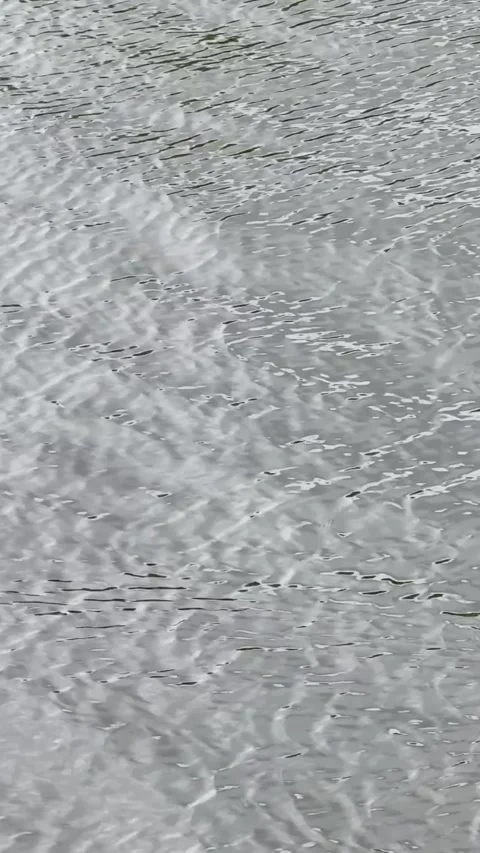 Wind Ripples Creating Overlapping Patterns and Soft Reflections Stock Footage 345833040