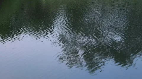 Wind ripples distorting tree reflection on green lake water, Indonesia Stock Footage 342095629