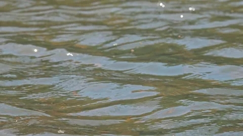 Wind ripples on the surface of a pond 스톡 동영상 345073955