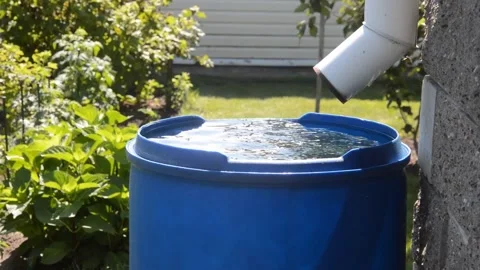 The wind ripples the surface of the water in the barrel in the garden. Stock Footage 279554150