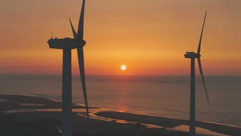 The Wind Rises 스톡 동영상 320877705