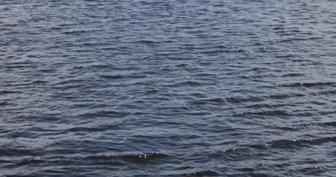 The wind on a river or lake drives a wave. Stock Footage 155117952