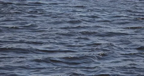 The wind on a river or lake drives a wave. Stock Footage 155117969