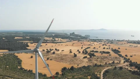 Wind rose by the sea Vídeos de archivo 196982132