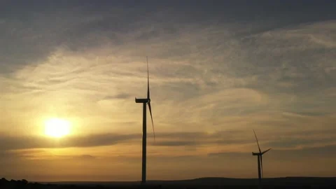 Wind roses that generate energy at sunset Stock Footage 148498604