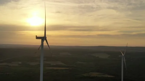 Wind roses that generate energy at sunset Stock Footage 148500071