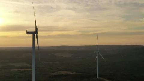Wind roses that generate energy at sunset Stock Footage 148500177