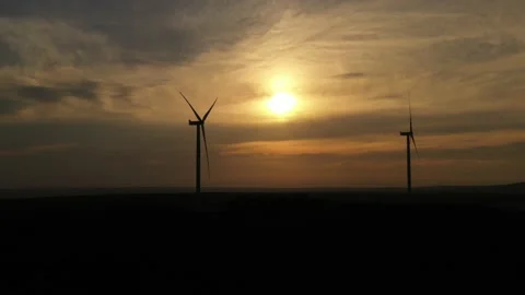 Wind roses that generate energy at sunset Stock Footage 148501691