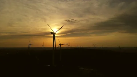 Wind roses that generate energy at sunset Stock Footage 148522531