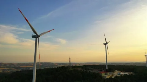 Wind roses that generate energy at sunset Stock Footage 148523247