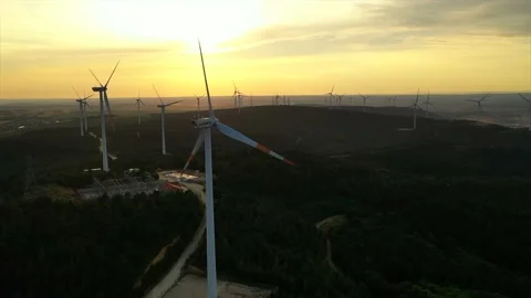 Wind roses that generate energy at sunset Stock Footage 148523448