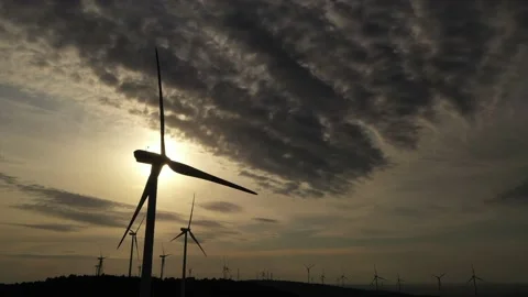 Wind roses that generate energy at sunset Stock Footage 148525128