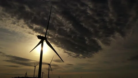 Wind roses that generate energy at sunset Stock Footage 148525202