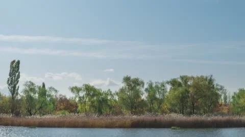 The wind ruffled the surface of the lake in Worldcup Park in South Korea. 動画素材 59786259