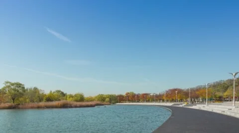 The wind ruffled the surface of the lake in Worldcup Park in South Korea. 動画素材 59786269