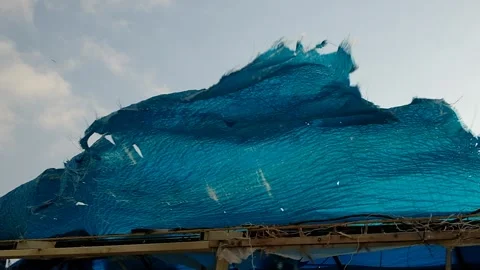 The wind ruffles a torn canvas of blue color Stock Footage 132667150