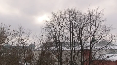 The wind rustles the bare branches of trees and drives grey autumn clo 動画素材 70401100