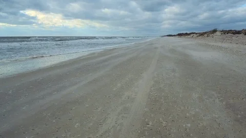 Wind, sand, seashore Video stock 88051177