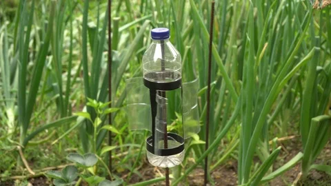 Wind scarecrow of birds Video stock 111725655