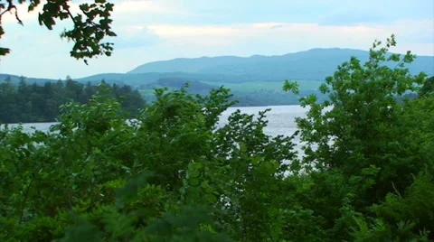 Wind shaken tree branches in front of Loch Awe Stock Footage 39383504