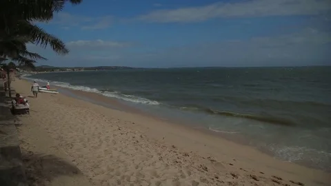 Wind shakes branches of palm bent over sand beach against azure sea with Stock Footage 70761162
